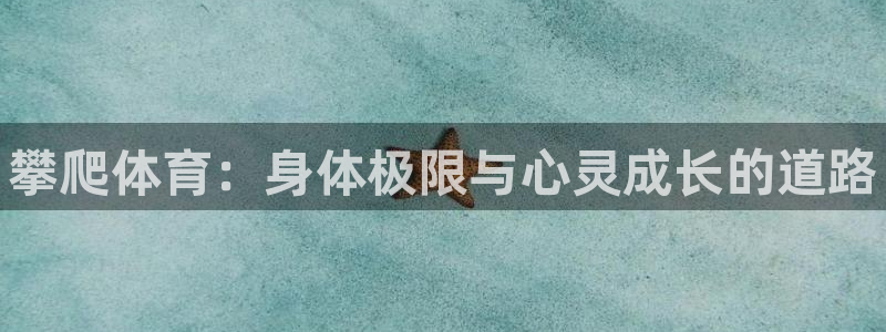 MK体育官网下载平台注册：攀爬体育：身体极限与心灵成