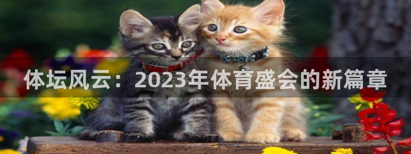 MK体育官方正版app娱乐是那个系列的台子：体坛风云