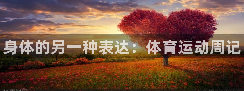 MK体育官方正版app五金厂：身体的另一种表达：体育