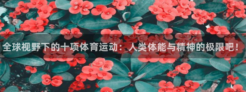 MK体育官方正版app开户：全球视野下的十项体育运动