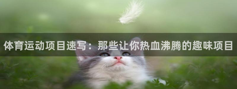 MK体育官网下载平台APP：体育运动项目速写：那些让