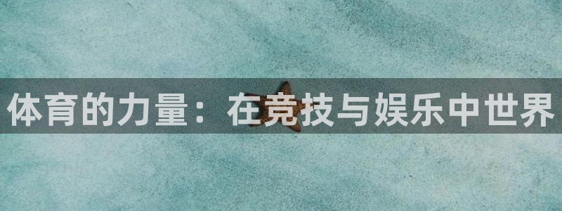 MK体育官网下载平台：体育的力量：在竞技与娱乐中世界
