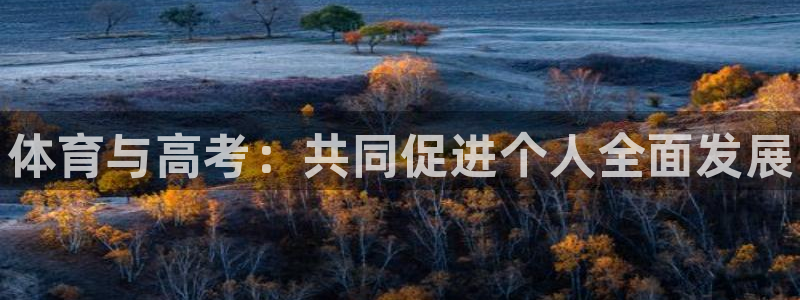 德国MK体育官方正版app集团：体育与高考：共同促进