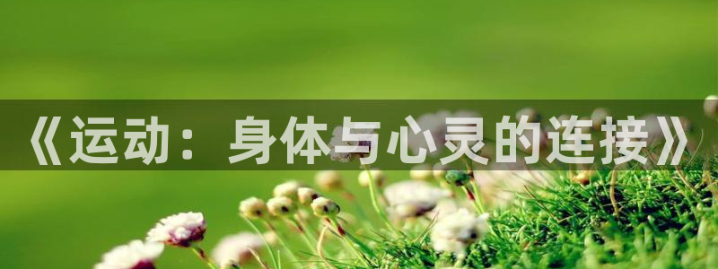 MK体育官网下载招商：《运动：身体与心灵的连接》