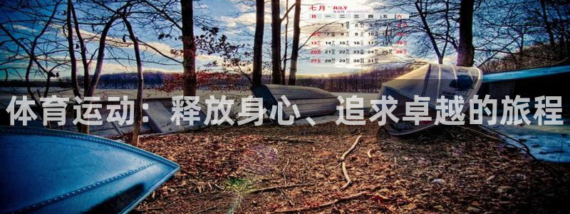 MK体育官网下载平台APP：体育运动：释放身心、追求