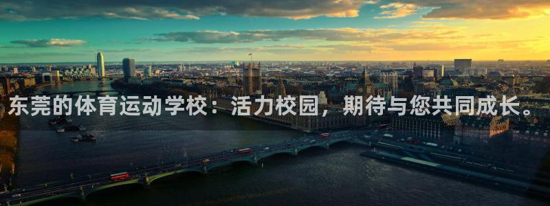 MK体育官网下载招商：东莞的体育运动学校：活力校园，