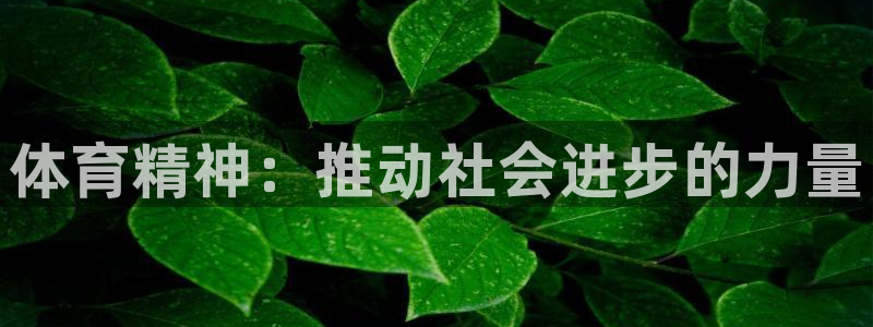 MK体育官方正版app集团官网首页网址