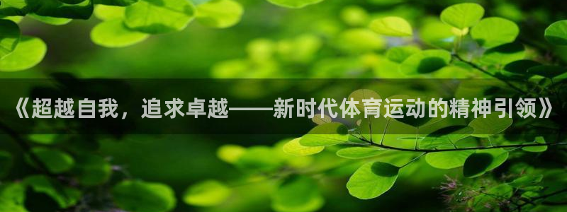 MK体育官方正版app五金厂