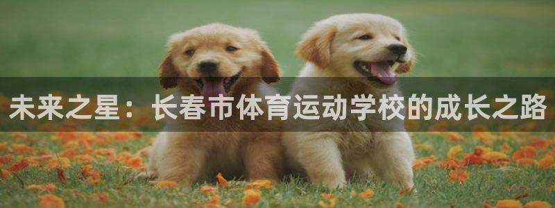 MK体育官网下载平台注册要钱吗：未来之星：长春市体育