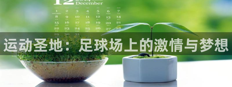 MK体育官网下载注册：运动圣地：足球场上的激情与梦想