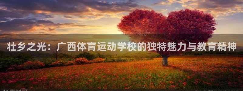 MK体育官方正版app集团E.ON：壮乡之光：广西体