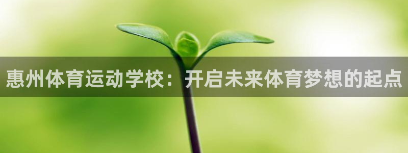MK体育官网下载招商电话号码查询是多少：惠州体育运动