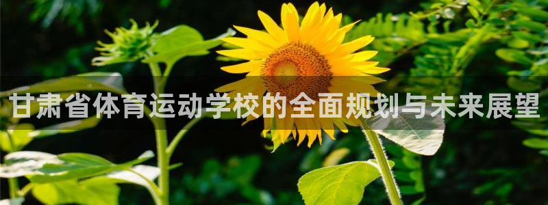 MK体育官方正版app娱乐是那个系列的台子：甘肃省体